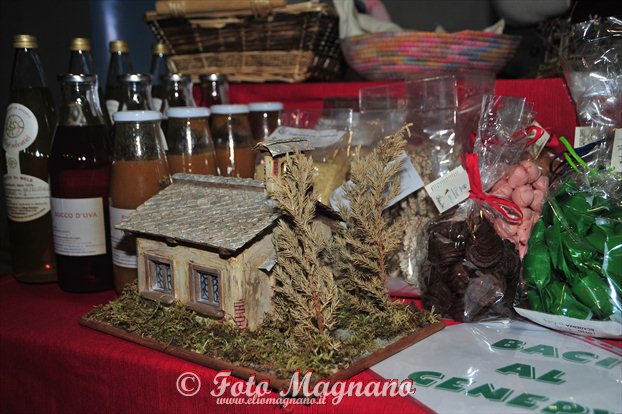 DSC_6438.jpg
